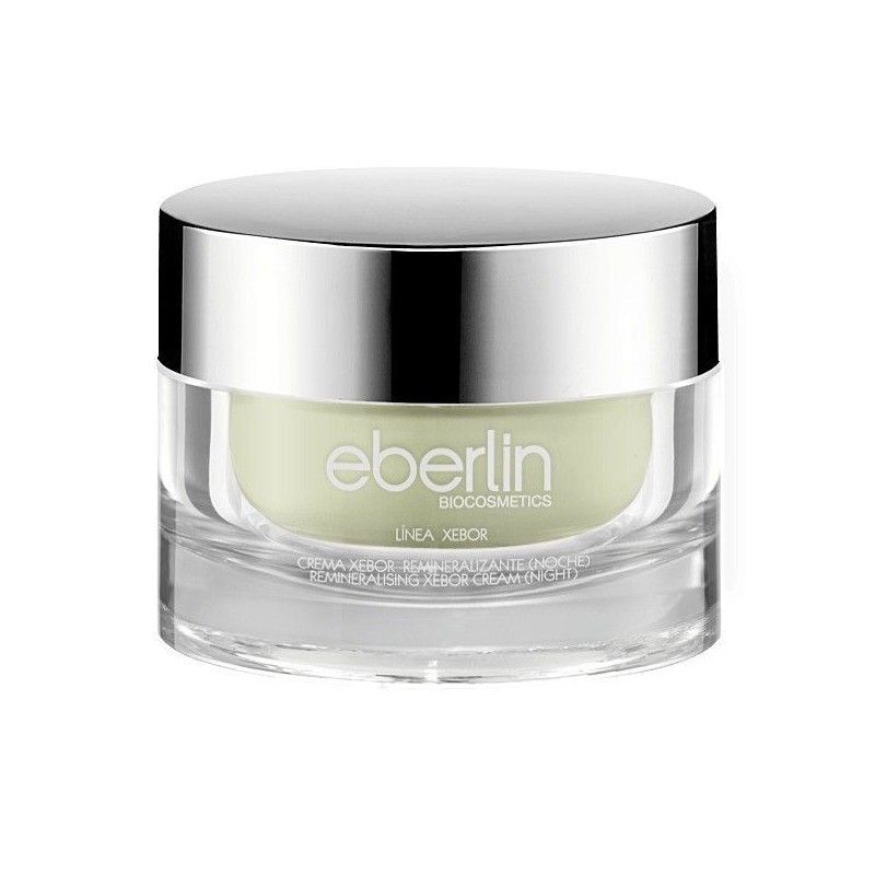 CREMA CONTROL SEBO NOCHE