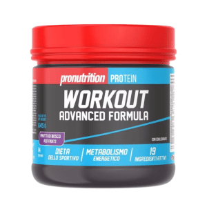 Workout frutas del bosque 645g